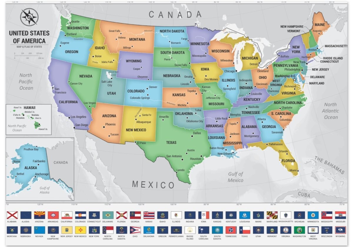 252cfa50-e048-47f7-8ba2-7fa1243391cb-jpg.webp 252cfa50-e048-47f7-8ba2-7fa1243391cb